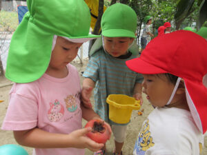 園庭の柿が大きく実りました。『大きいねぇ』『ぼくにも、ちょっと触らせて』